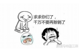 汕尾专业讨债公司有哪些核心服务？